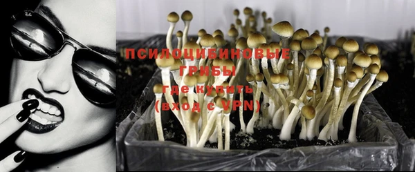 скорость Баксан